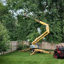 Best Arborist Consultation Services  in Sandy Oaks, TX